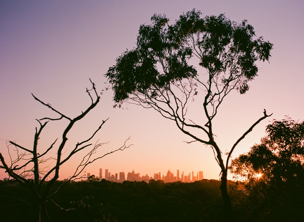 featured image thumbnail for post Sunset at Wurundjeri Spur Lookout (Kew)
